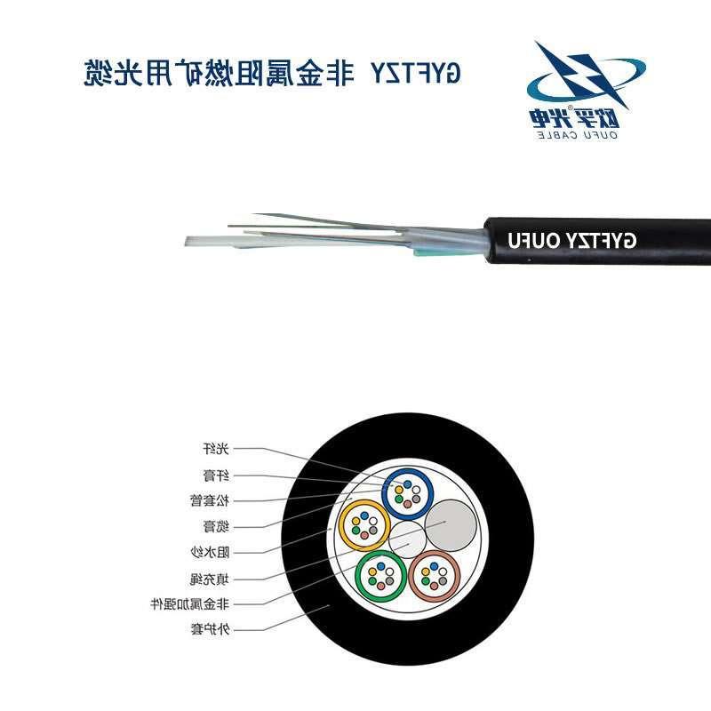 黑龙江GYFTZY光缆