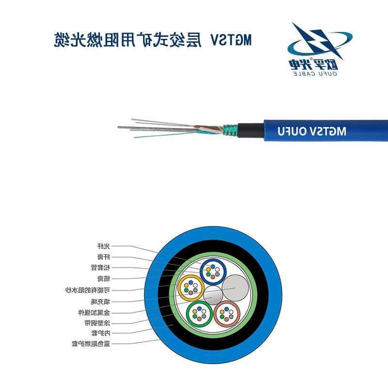 深水埗区MGTSV光缆